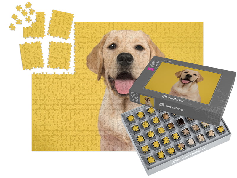 SMART SORTED Photo Puzzle 1000 pieces with box