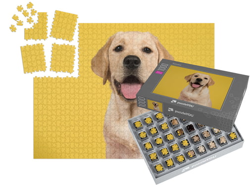 SMART SORTED Photo Puzzle 1000 pieces with box