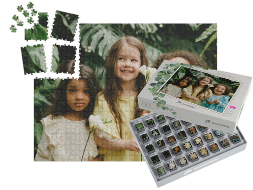 SMART SORTED Photo Puzzle 1000 pieces completed with box
